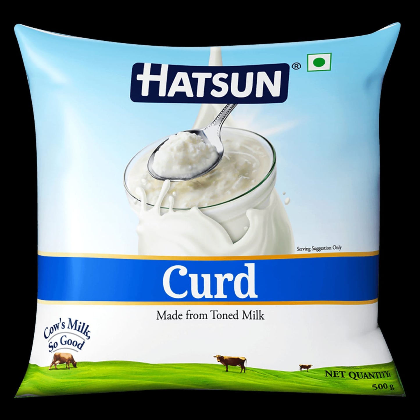 Hatsun Curd Pack (500g)
